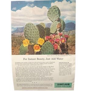 Vintage 1959 Sinclair Oil Natural Beauty Just Add Water Ad Advertisement